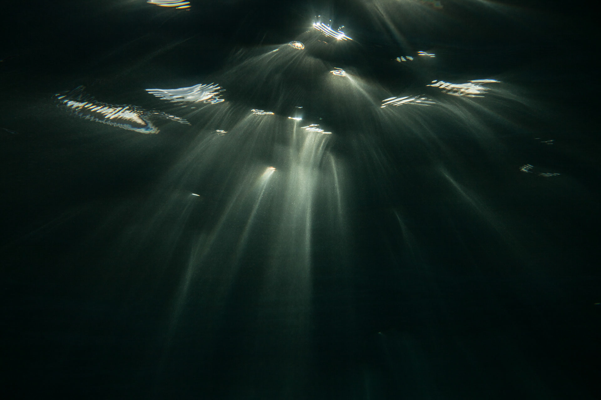 la caleton 2014 — partsoflight by Robin Cerutti